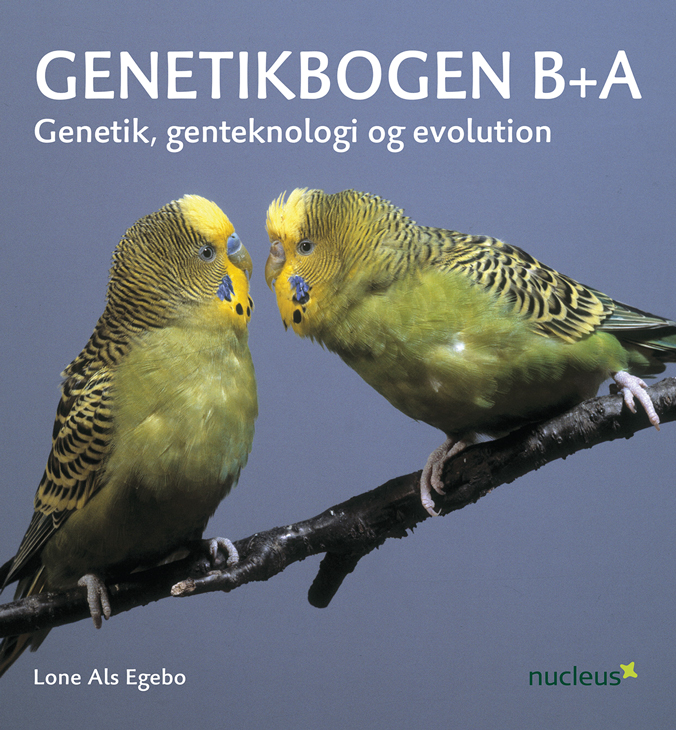 Genetikbogen_B_A.png